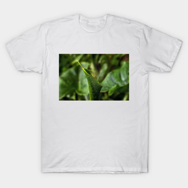 Young Green Calla Lily Leaf T-Shirt by mavicfe